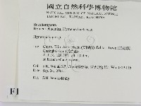 刺革菌屬藏品圖，第2張