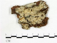 登錄號:F0015332藏品圖，第1張