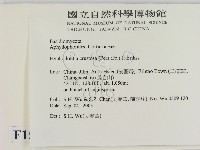 登錄號:F0015334藏品圖，第2張