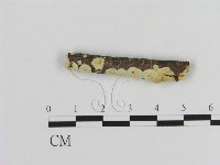 登錄號:F0015334藏品圖，第1張