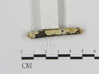 登錄號:F0015334藏品圖，第3張