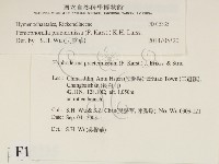 登錄號:F0015335藏品圖，第2張