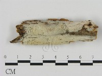 登錄號:F0015335藏品圖，第1張