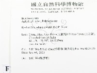 煙管菌藏品圖，第2張