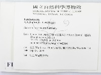登錄號:F0015337藏品圖，第2張