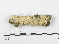 登錄號:F0015337藏品圖，第1張