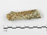 登錄號:F0015337藏品圖，第3張