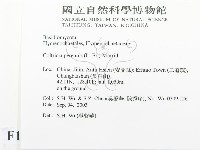 登錄號:F0015339藏品圖，第2張