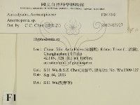 登錄號:F0015340藏品圖，第2張