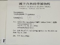 登錄號:F0015341藏品圖，第2張