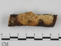 登錄號:F0015341藏品圖，第1張