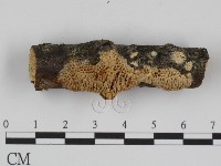 登錄號:F0015341藏品圖，第3張