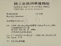 登錄號:F0015342藏品圖，第2張