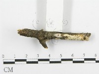 登錄號:F0015342藏品圖，第3張