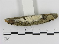 登錄號:F0015343藏品圖，第1張