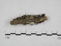 登錄號:F0015343藏品圖，第3張