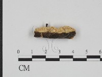 登錄號:F0015344藏品圖，第3張