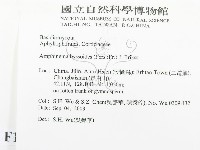 登錄號:F0015345藏品圖，第2張