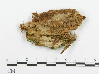 登錄號:F0015345藏品圖，第1張