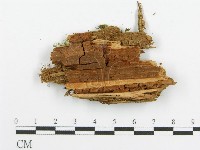 登錄號:F0015345藏品圖，第3張