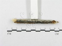 登錄號:F0015346藏品圖，第5張