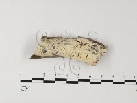 登錄號:F0015348藏品圖，第1張