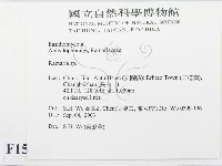 登錄號:F0015349藏品圖，第2張