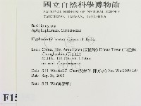 登錄號:F0015352藏品圖，第2張