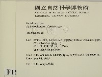 登錄號:F0015353藏品圖，第2張