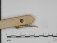 登錄號:F0015353藏品圖，第3張