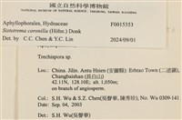登錄號:F0015353藏品圖，第4張