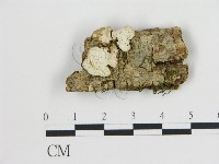 登錄號:F0015354藏品圖，第1張