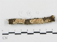 登錄號:F0015355藏品圖，第1張