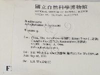 栓菌屬藏品圖，第2張