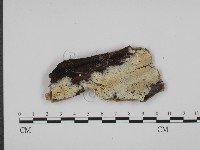 登錄號:F0015357藏品圖，第1張