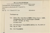 登錄號:F0015357藏品圖，第3張