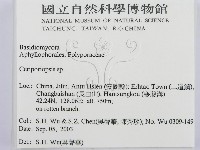 登錄號:F0015359藏品圖，第2張