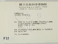 登錄號:F0015362藏品圖，第2張