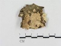 登錄號:F0015365藏品圖，第1張