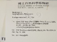 雲芝藏品圖，第2張