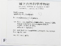 登錄號:F0015370藏品圖，第2張