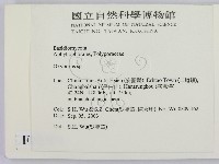 銳孔菌屬藏品圖，第2張