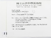 登錄號:F0015372藏品圖，第2張