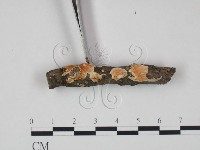 登錄號:F0015373藏品圖，第3張