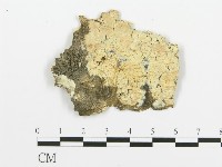 登錄號:F0015375藏品圖，第1張