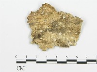 登錄號:F0015375藏品圖，第3張