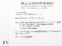 登錄號:F0015376藏品圖，第2張