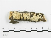 登錄號:F0015376藏品圖，第1張