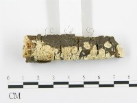 登錄號:F0015376藏品圖，第3張