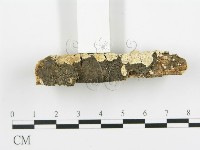 登錄號:F0015376藏品圖，第5張